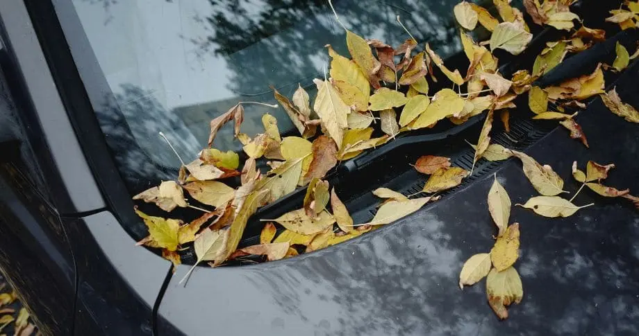 Car Detailing Services